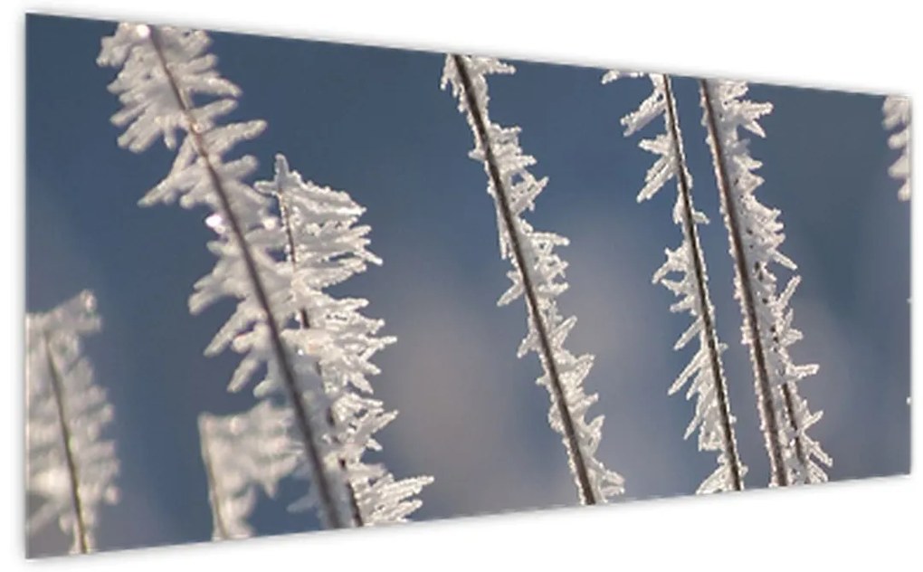 Tablou - Îngheț (120x50 cm)