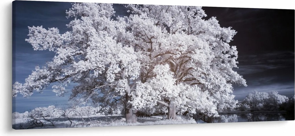Tablou - Albă ca Zăpada Copac (120x50 cm)