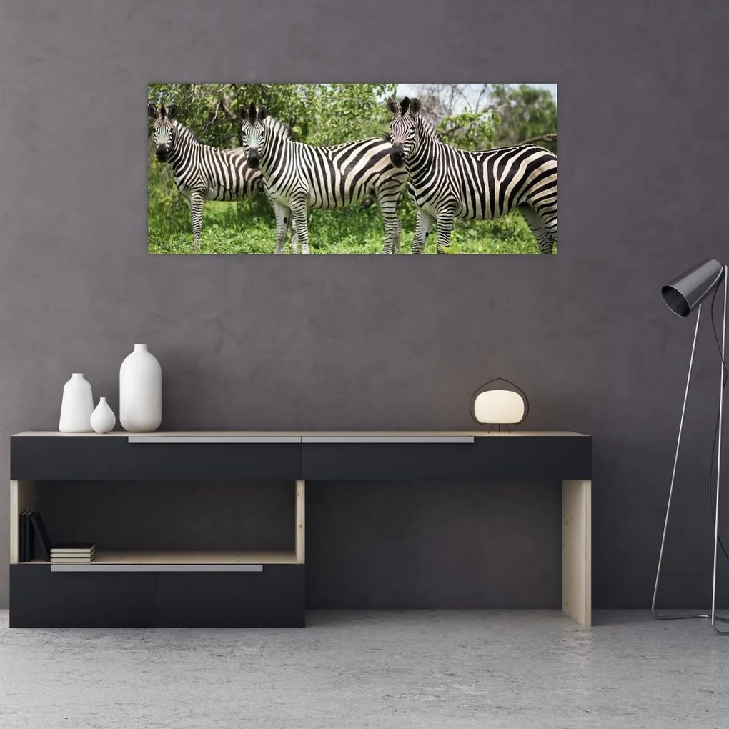 Tablou cu zebre (120x50 cm)