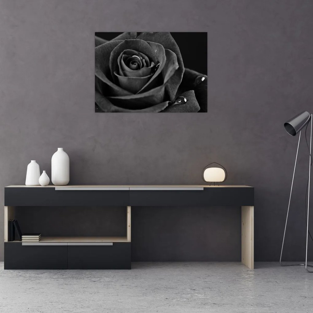 Tablou pe sticlă - Trandafir roșu aprins (70x50 cm)