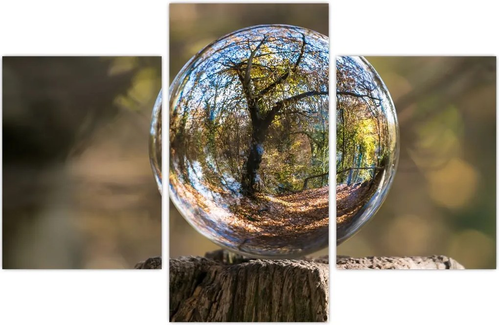 Tablou - Reflecție intr-o sferă transparentă (90x60 cm)