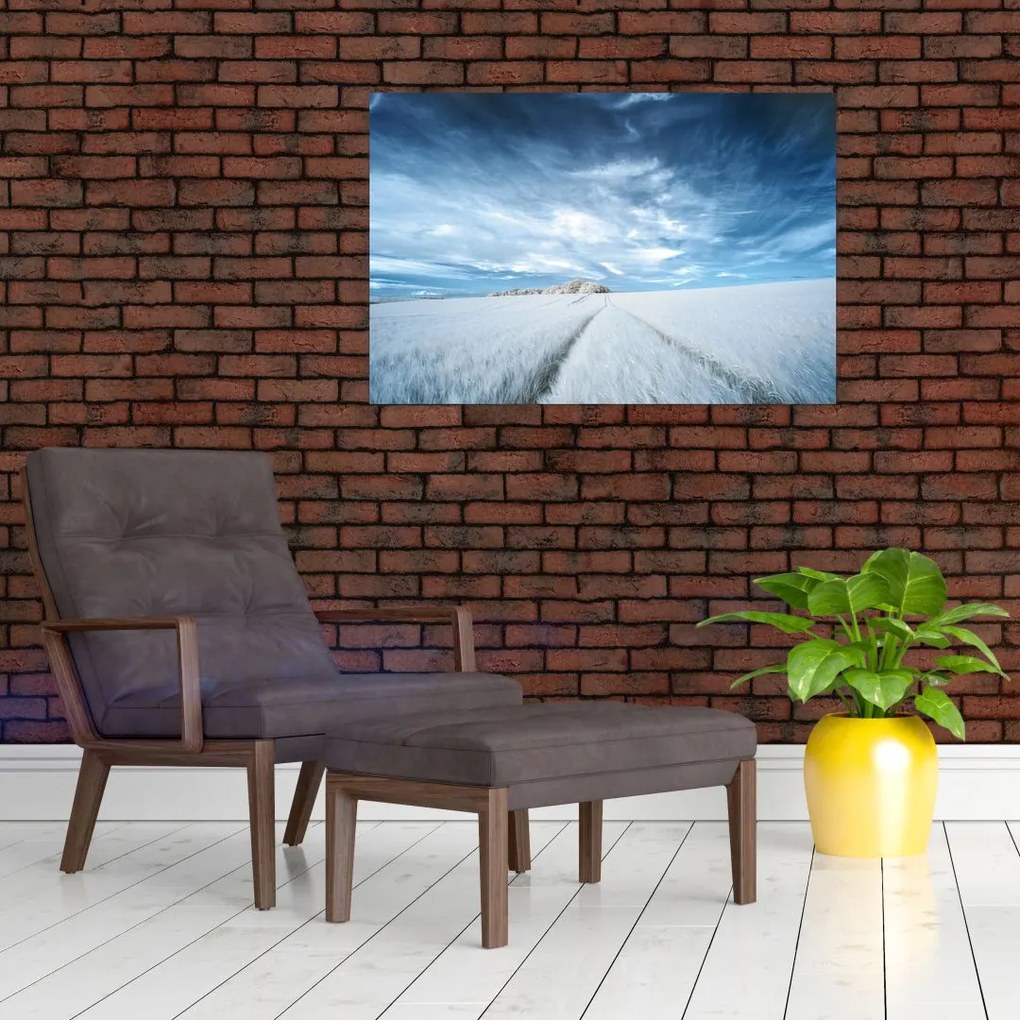 Tablou - Câmp (90x60 cm)