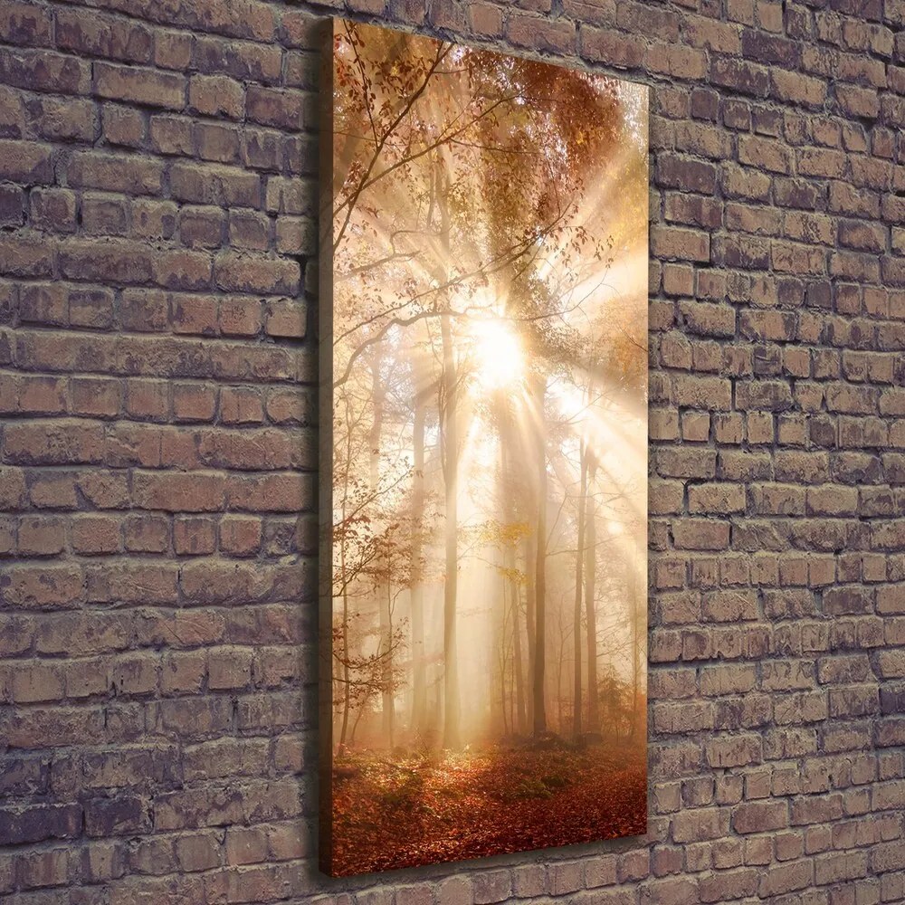 Imprimare tablou canvas Pădure în toamna