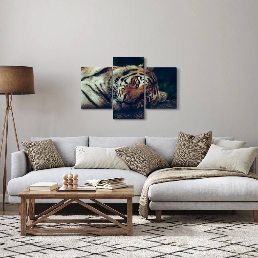 Tablou - Tigrul Siberian (90x60 cm)