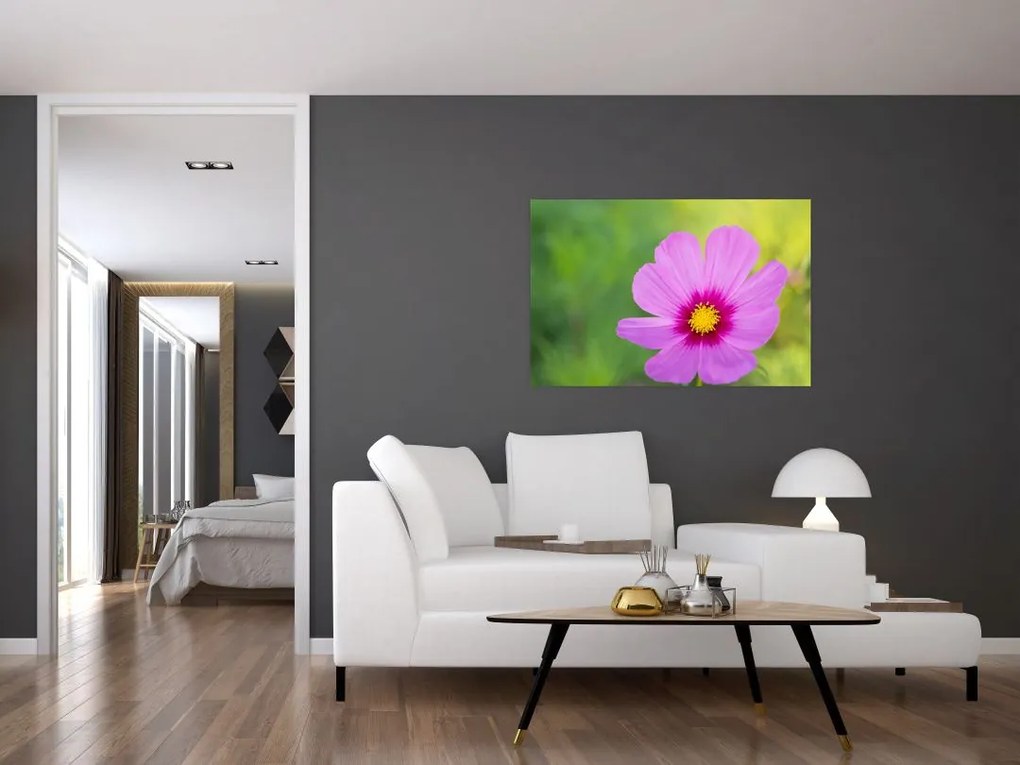 Tablou - floare de câmp (90x60 cm)