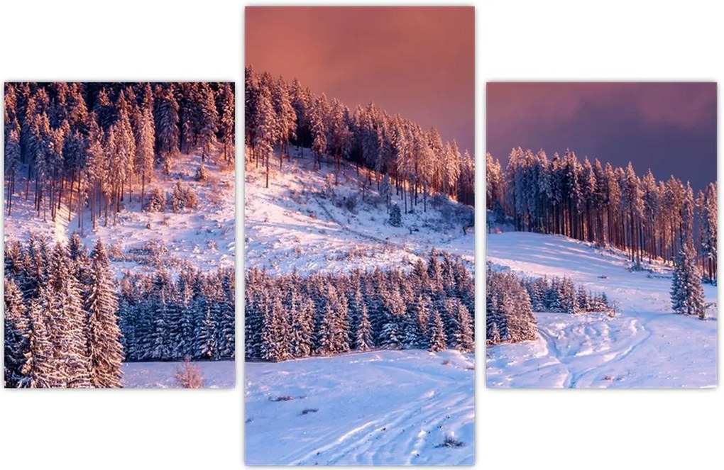 Tablou - Peisaj de iarnă (90x60 cm)
