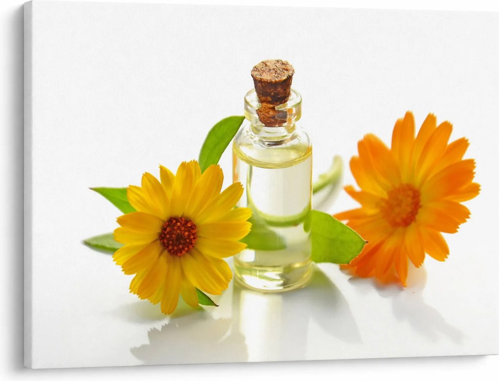 Tablou cu ulei de flori (70x50 cm)