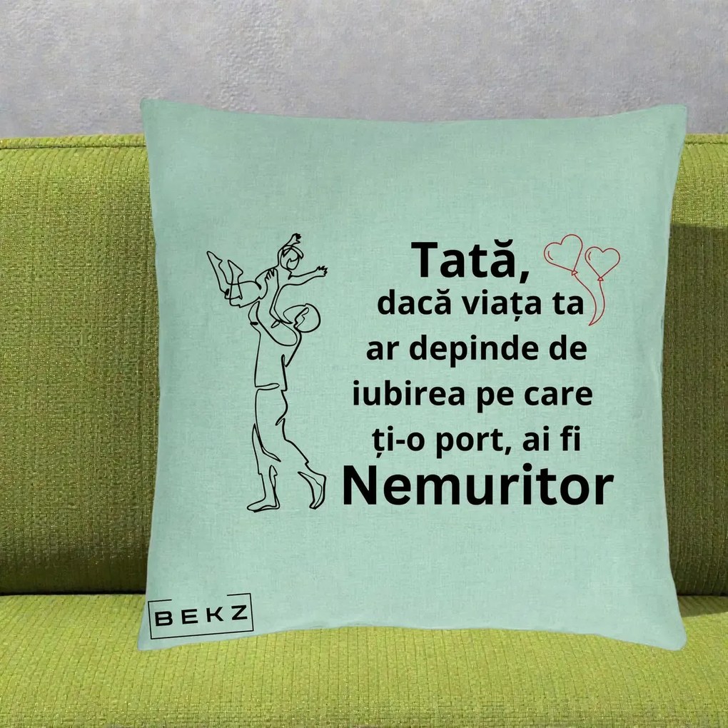 Cadou pentru Tata - Perna Personalizata Tata Nemuritor Joaca in Aer, 40x40 cm, Verde Menta, Husa Detasabila, Perna Inclusa, BEKZ®