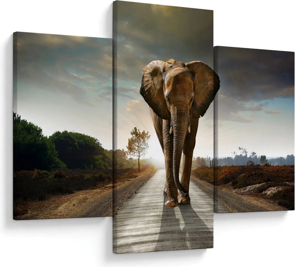 Tablou cu elefant (90x60 cm)
