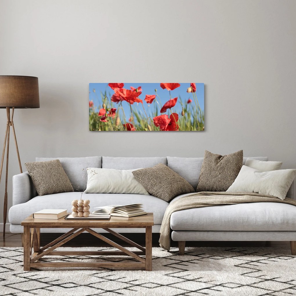Tablou - Maci (120x50 cm)