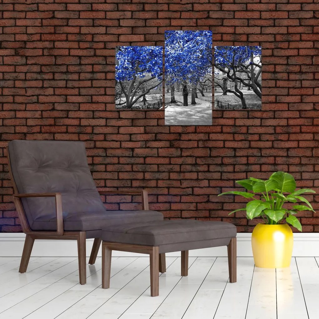 Tablou - Copaci albaștri Central Park, New York (90x60 cm)