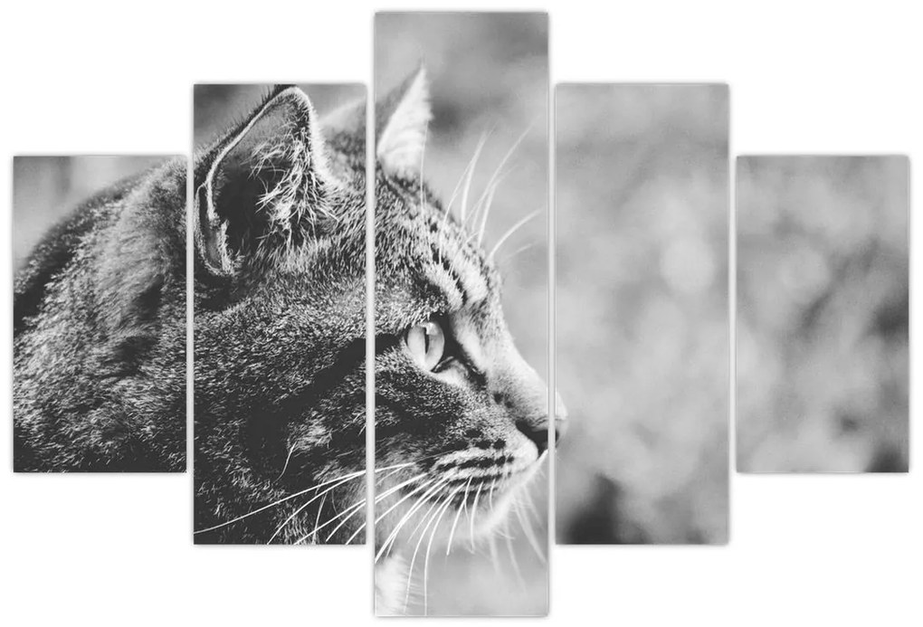 Tablou - Pisica (150x105 cm)