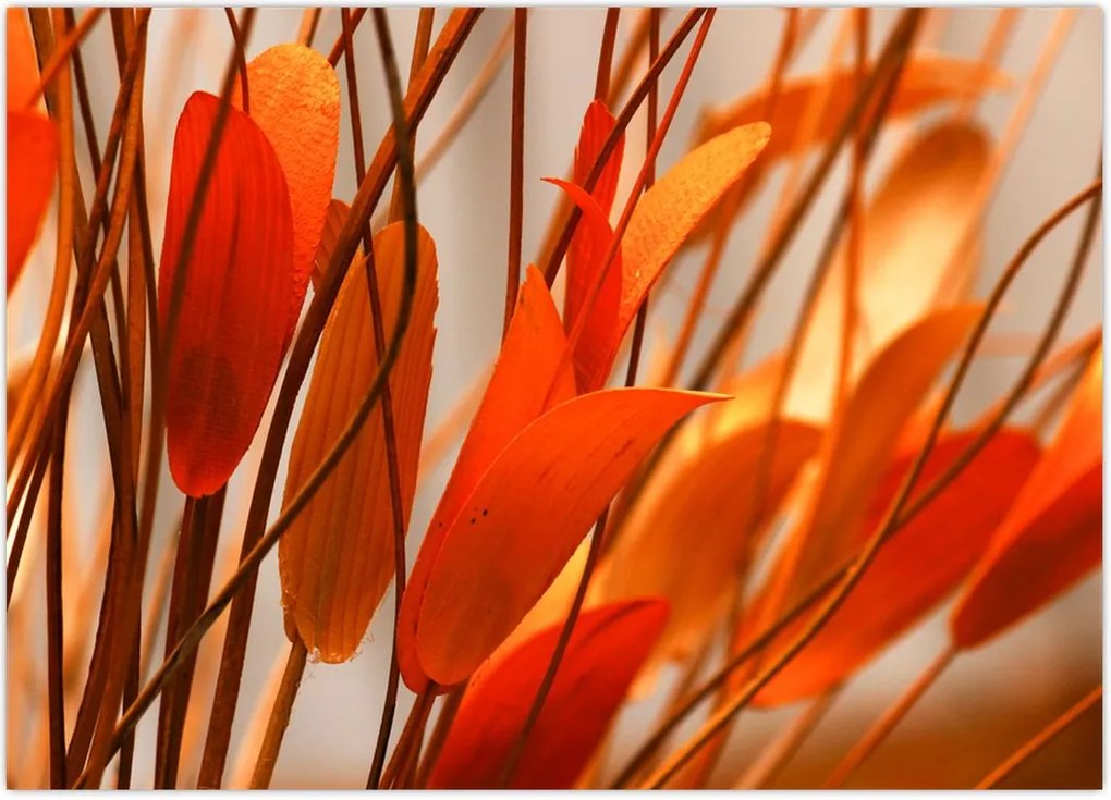 Tablou - Frunze înflorite (70x50 cm)