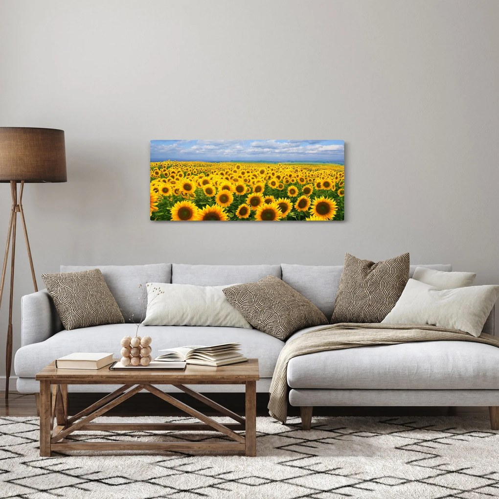 Tablou cu lan de floarea soarelui (120x50 cm)