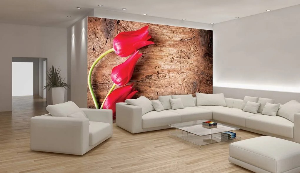 Fototapet - Lalea lemn panglica (152,5x104 cm)