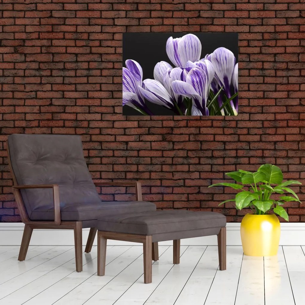 Tablou pe sticlă - Crocus violet (70x50 cm)