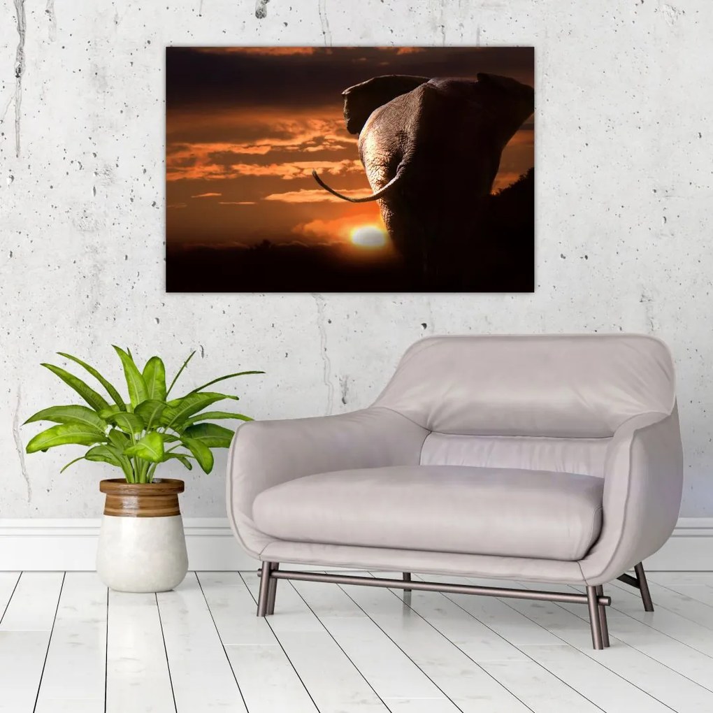 Tablou cu elefant (90x60 cm)