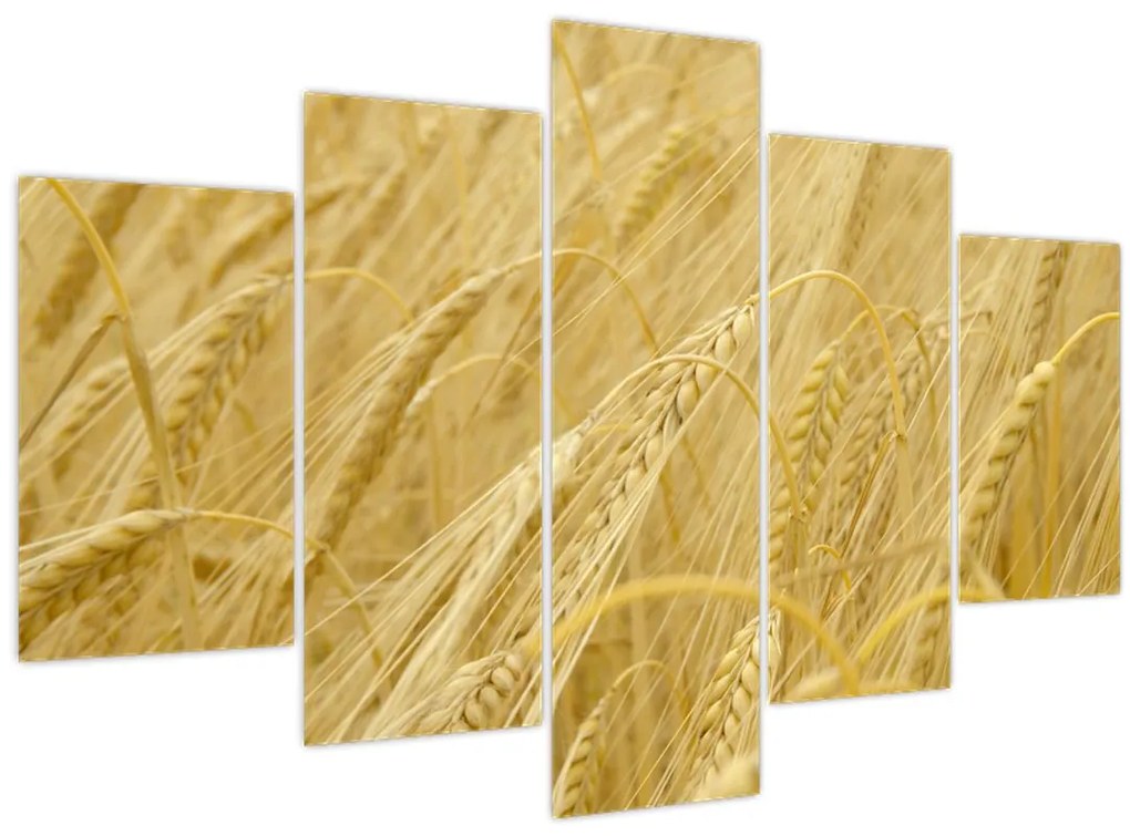 Tablou - Orz (150x105 cm)