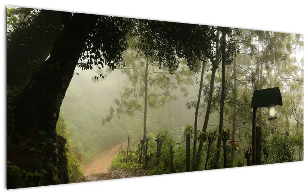 Tablou cu ceața de dimineața (120x50 cm)