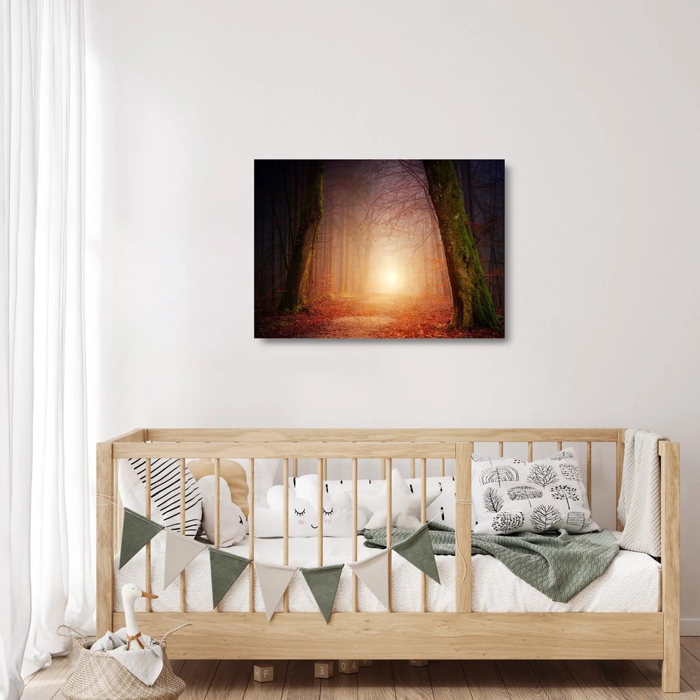 Tablou pe sticlă cu pădurea toamna în ceață (70x50 cm)