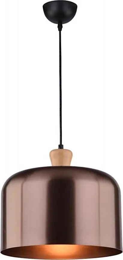 Lustră pe cablu DICTORIA 1xE27/40W/230V