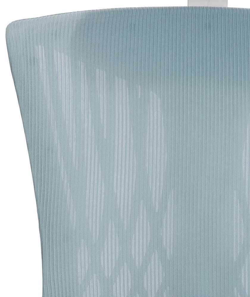 Scaun rotativ ergonomic de birou Ergomax, patină