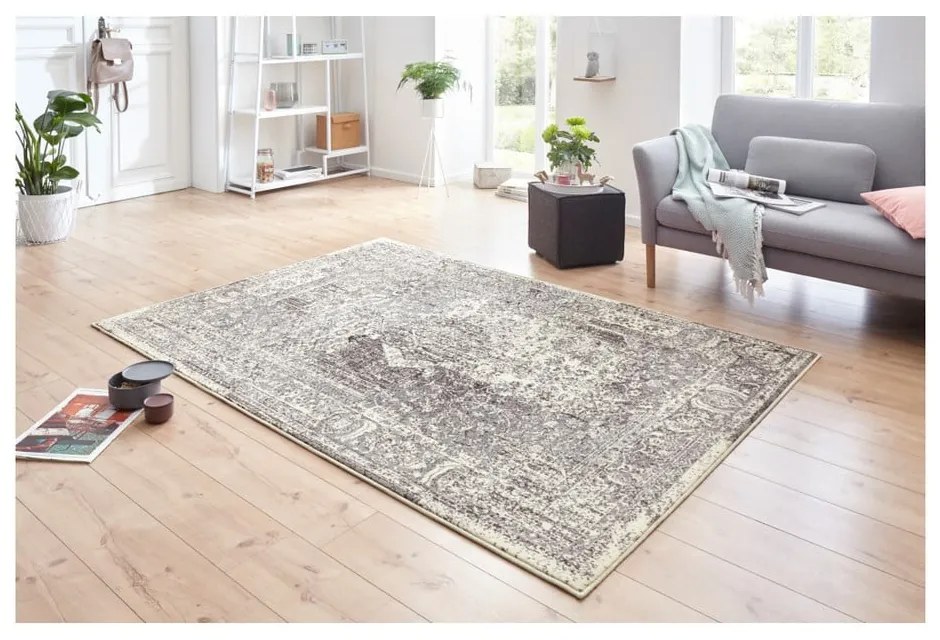 Covor Hanse Home Celebration Plume, 120x170 cm, gri-crem