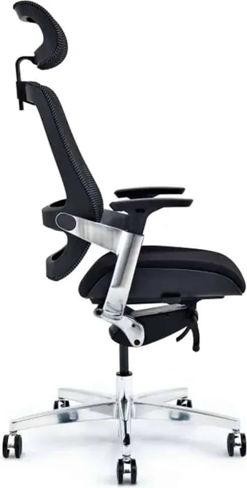 Scaun lemn masiv de birou ErgoElite Design Modern Negru