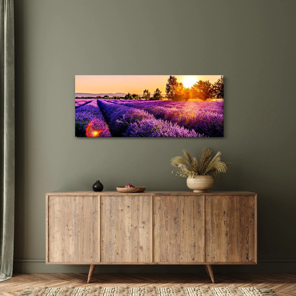 Tablou cu câmp de lavandă (120x50 cm)