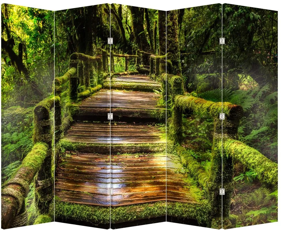 Paravan - Scări într-o pădure tropicală (210x170 cm)