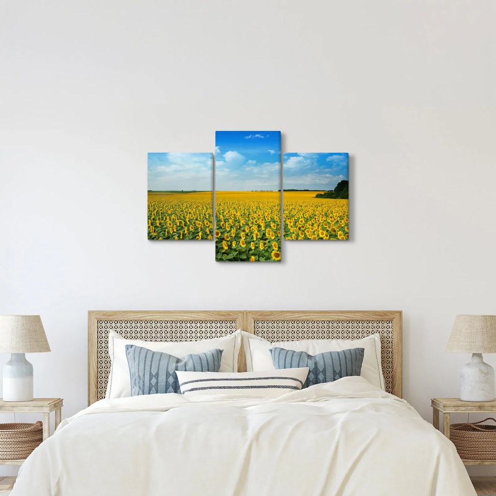 Tablou - câmp cu floarea soarelui (90x60 cm)