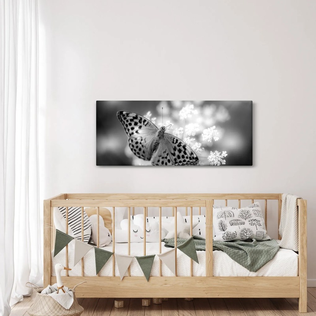 Tablou - Detailu cu fluture care polenizează floare (120x50 cm)