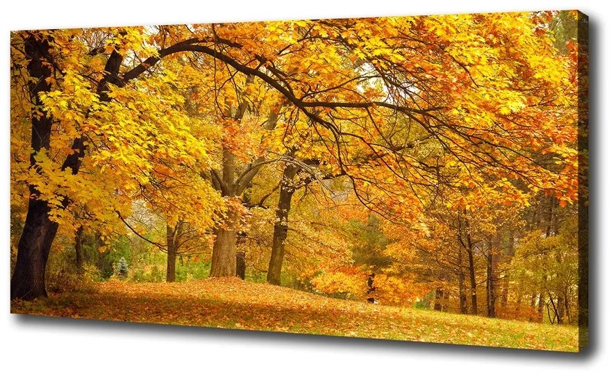 Print pe canvas Toamna în parc