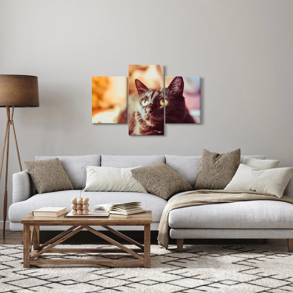 Tablou pisica neagră (90x60 cm)
