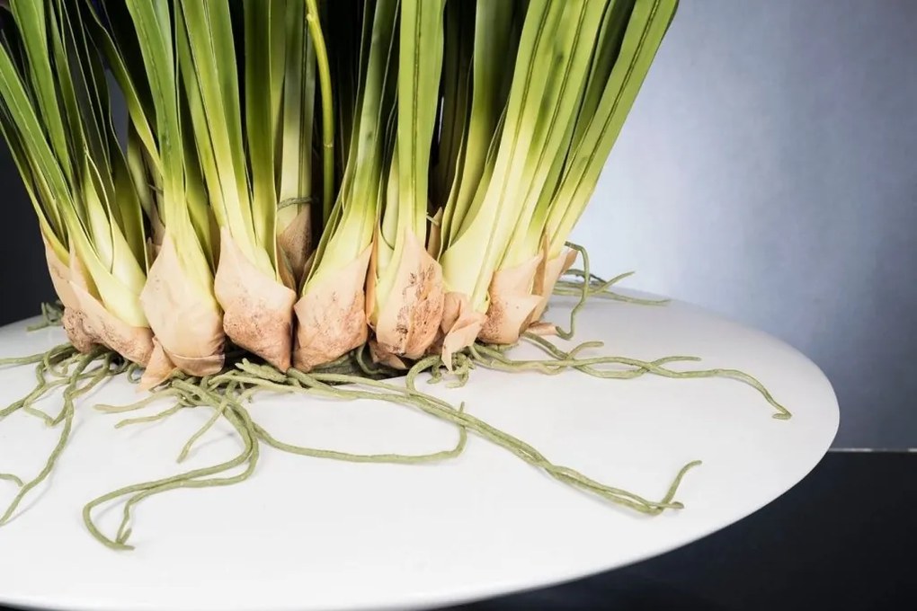 Aranjament floral LUX CYMBIDIUM violet, 80x95cm