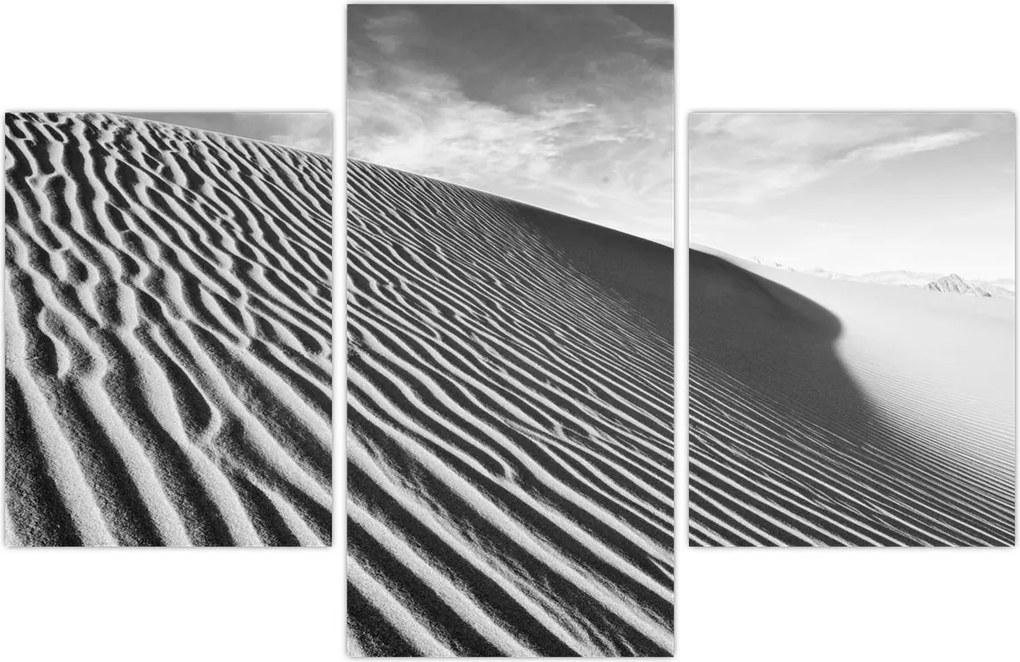 Tablou - Dună de nisip (90x60 cm)