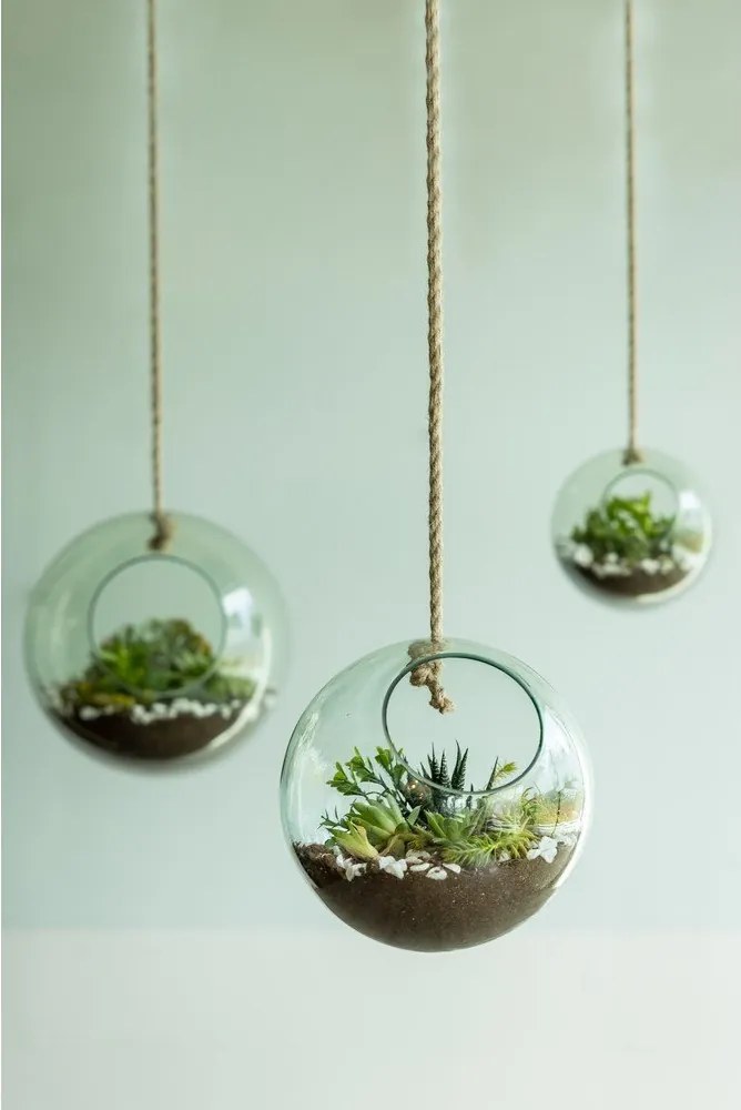 Terariu din sticlă ø 20 cm – Esschert Design
