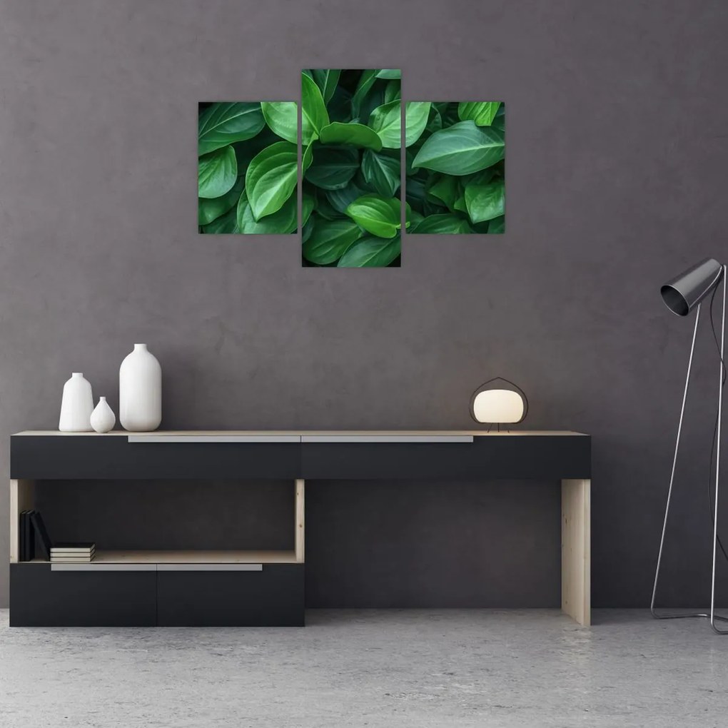 Tablou - Frunze verzi (90x60 cm)