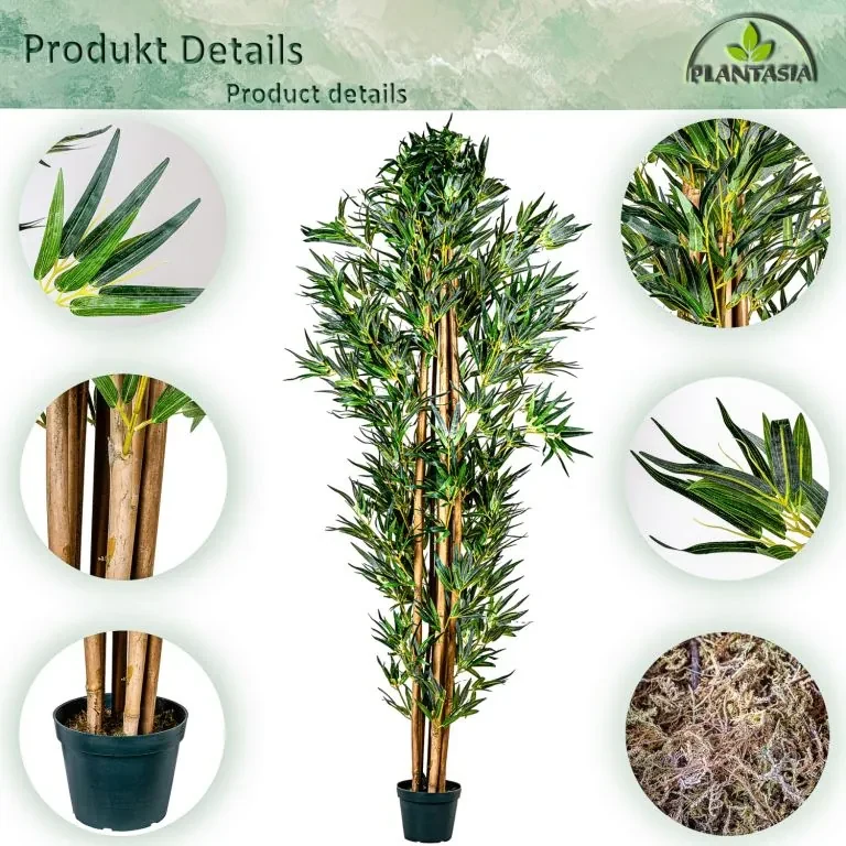 bambus mit rasendünger düngen Bambus Dünger Flora Boost für gesunde und prächtige Bambuspflanzen main image 1