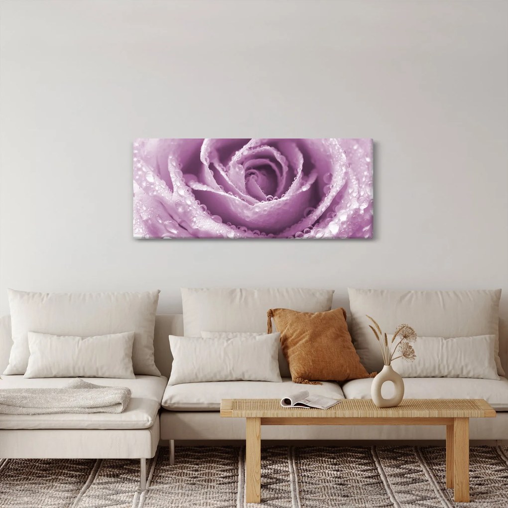 Tablou detaliu de floare de trandafir (120x50 cm)