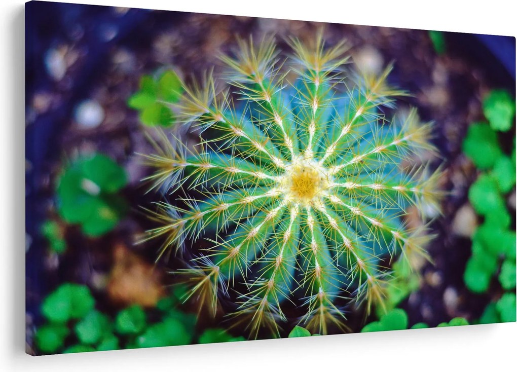 Tablou cu cactus (90x60 cm)