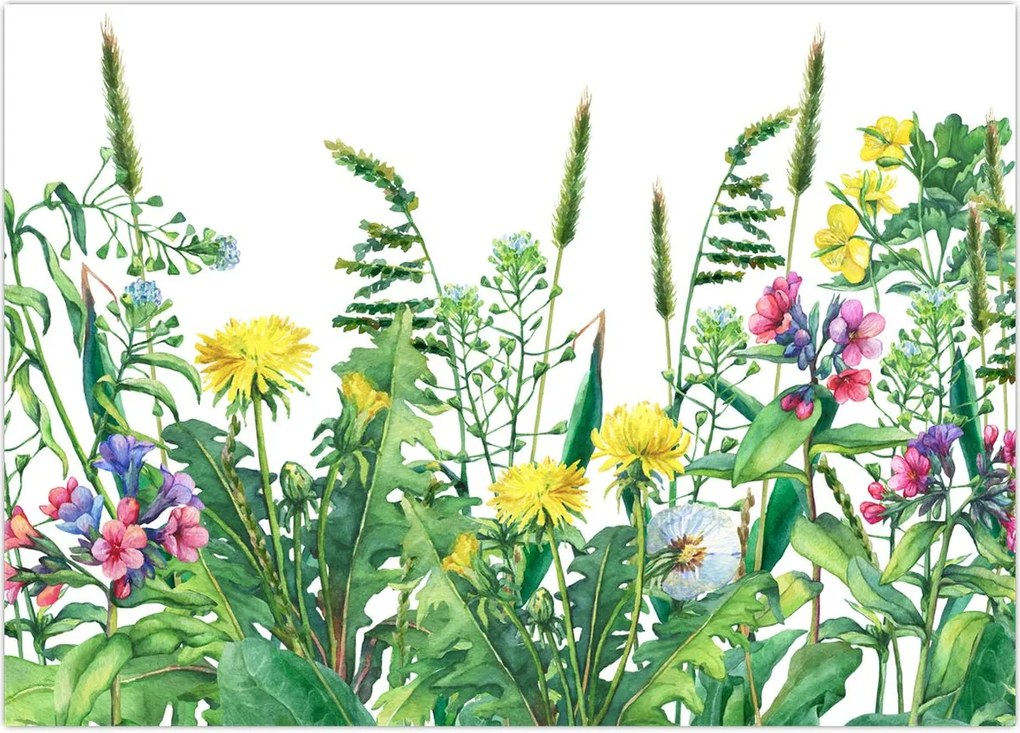 Tablou - Flori de pajiște pictate (70x50 cm)