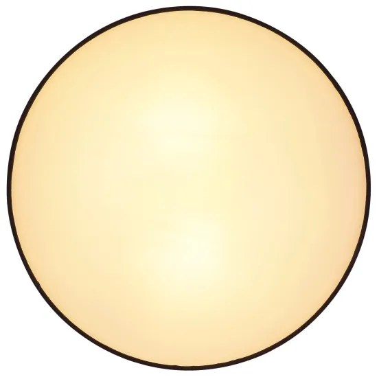 Plafonieră Globo 15582D INGEBORG 2xE27/15W/230V