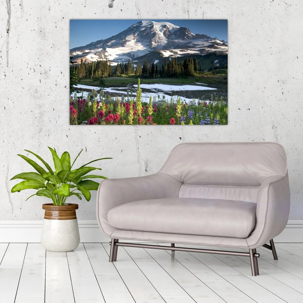 Tablou - Muntele Rainier (90x60 cm)