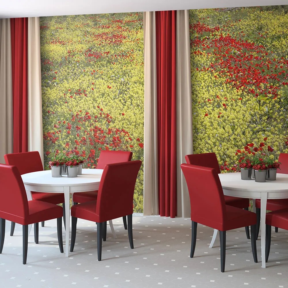 Fototapet Bimago - Meadow - Red And Yellow Flowers + Adeziv gratuit 400x309 cm