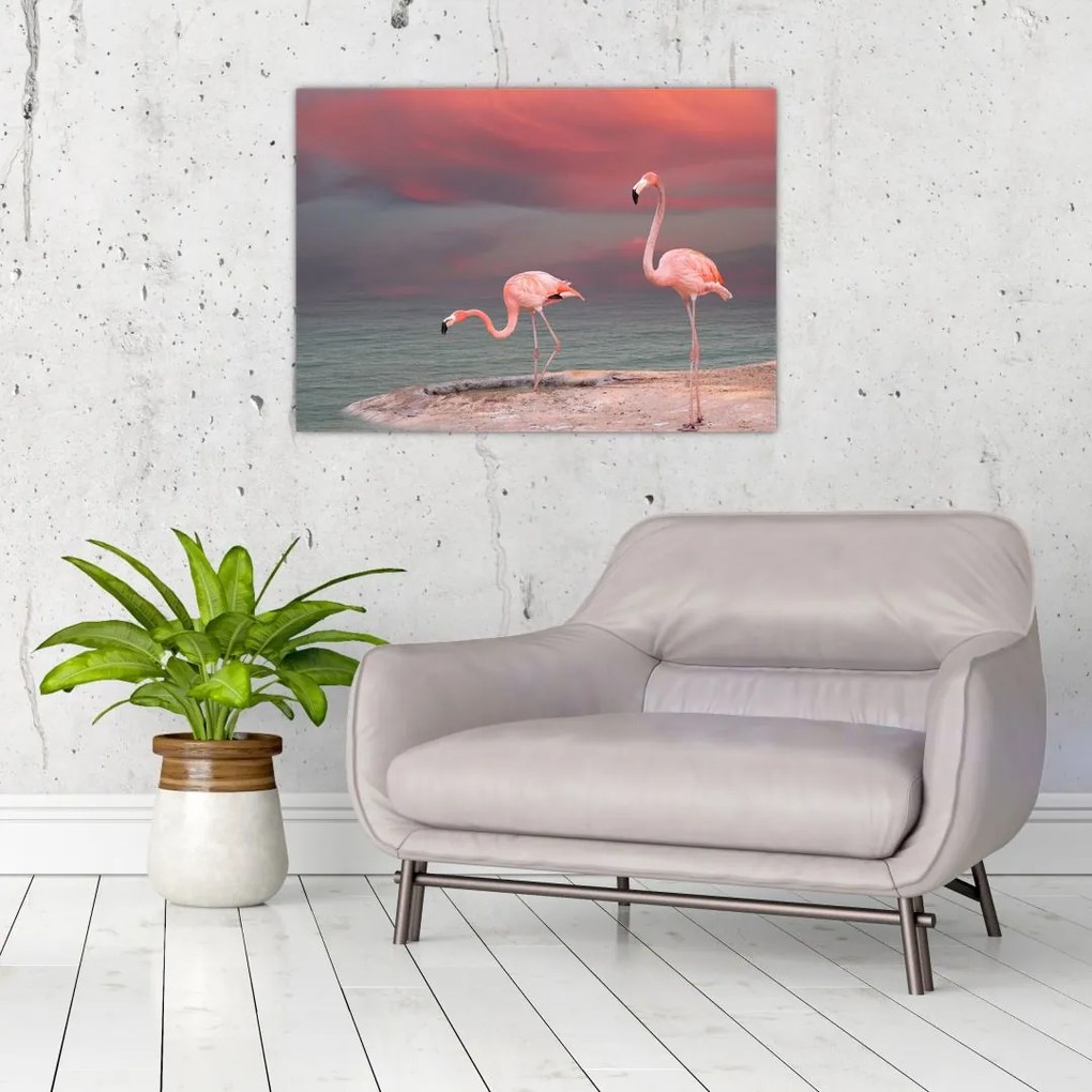 Tablou pe sticlă - Flamingo (70x50 cm)