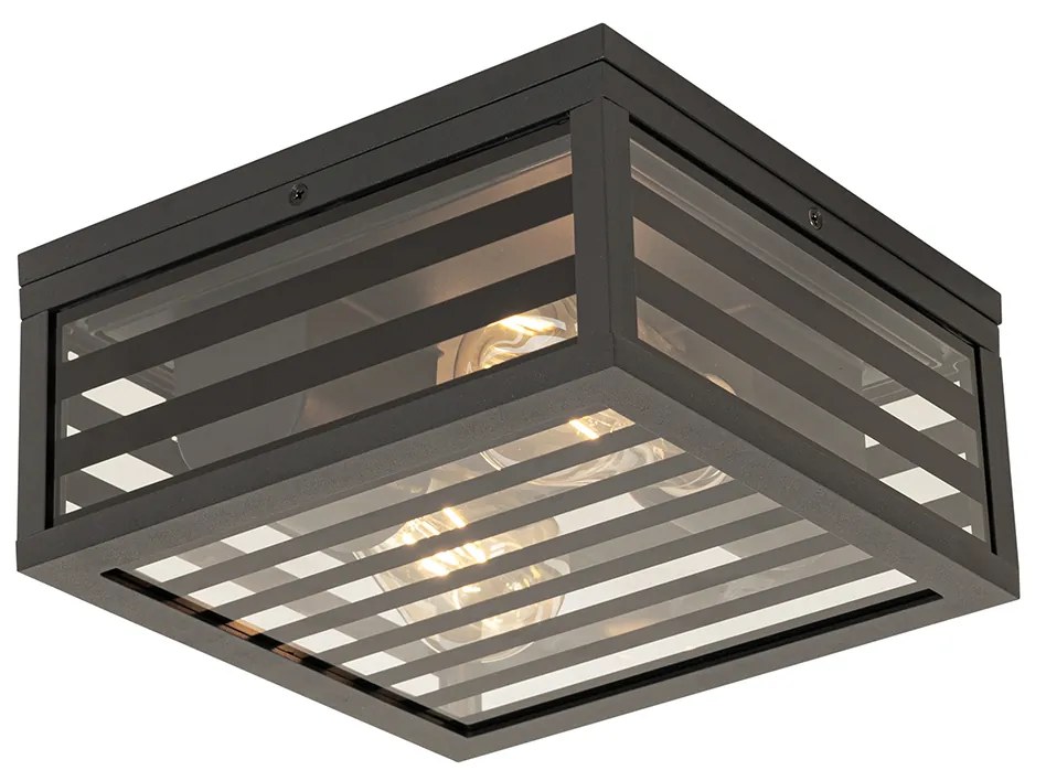 Plafoniera moderna pentru exterior cu sticlă neagră cu 2 lumini IP44 - Reims