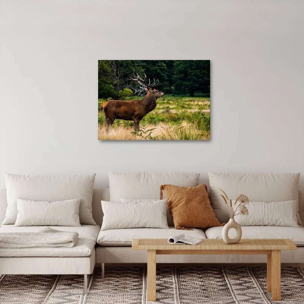 Tablou cu cerb (70x50 cm)
