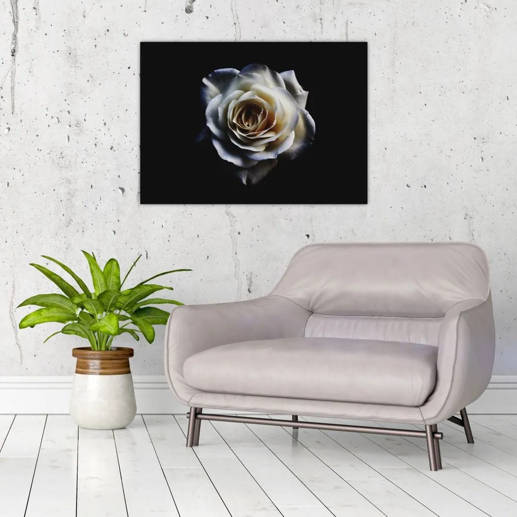 Tablou  cu trandafir alb (70x50 cm), în 40 de alte dimensiuni noi