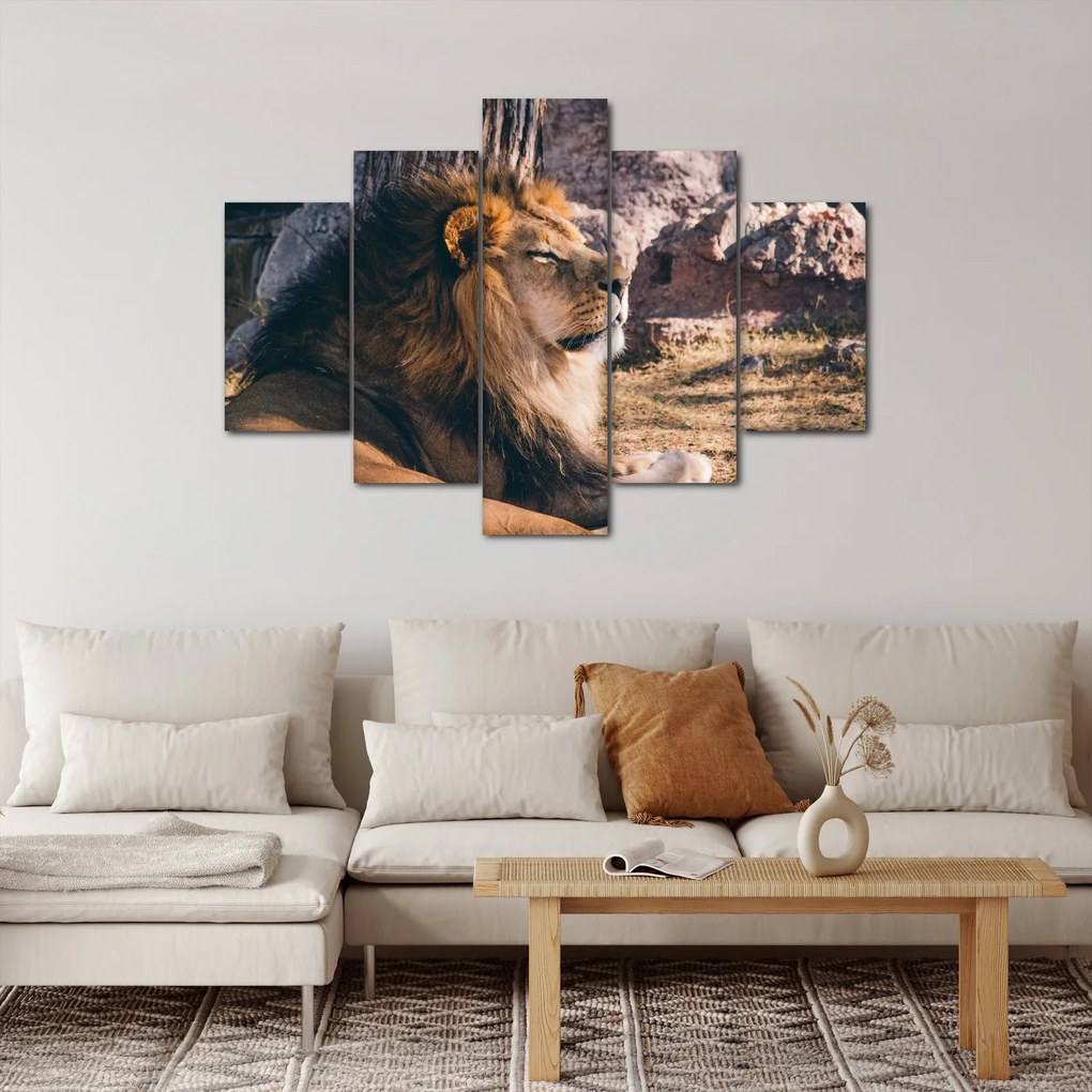 Tablou cu leul dormind (150x105 cm)
